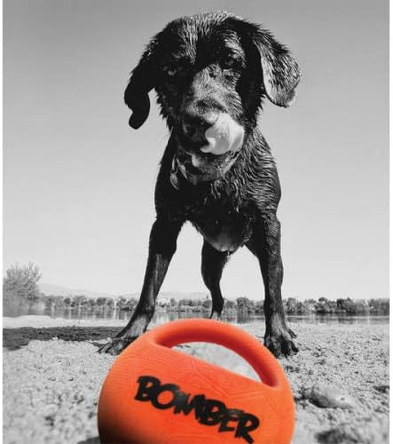 Zeus Bomber Dog Toy, 15 Cm