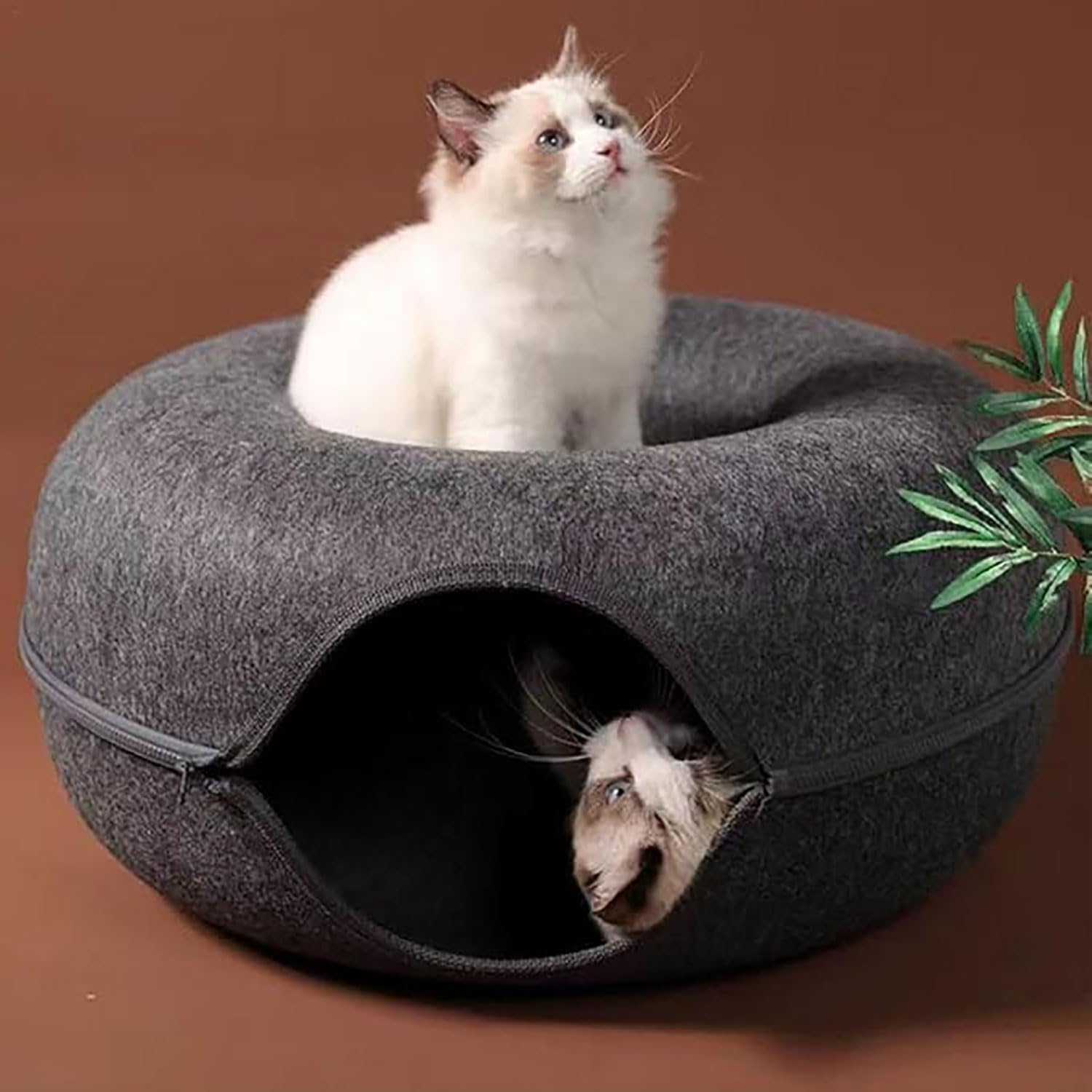 Yqkangzhu Cat Cave and Tunnel Bed for Multiple Large Cats up to 9 Lbs, 20*20*8 Inch Peekaboo for Indoor Cats, Scratch Detachable and Washable Meow Mansion Donut Bed (M) image number 4