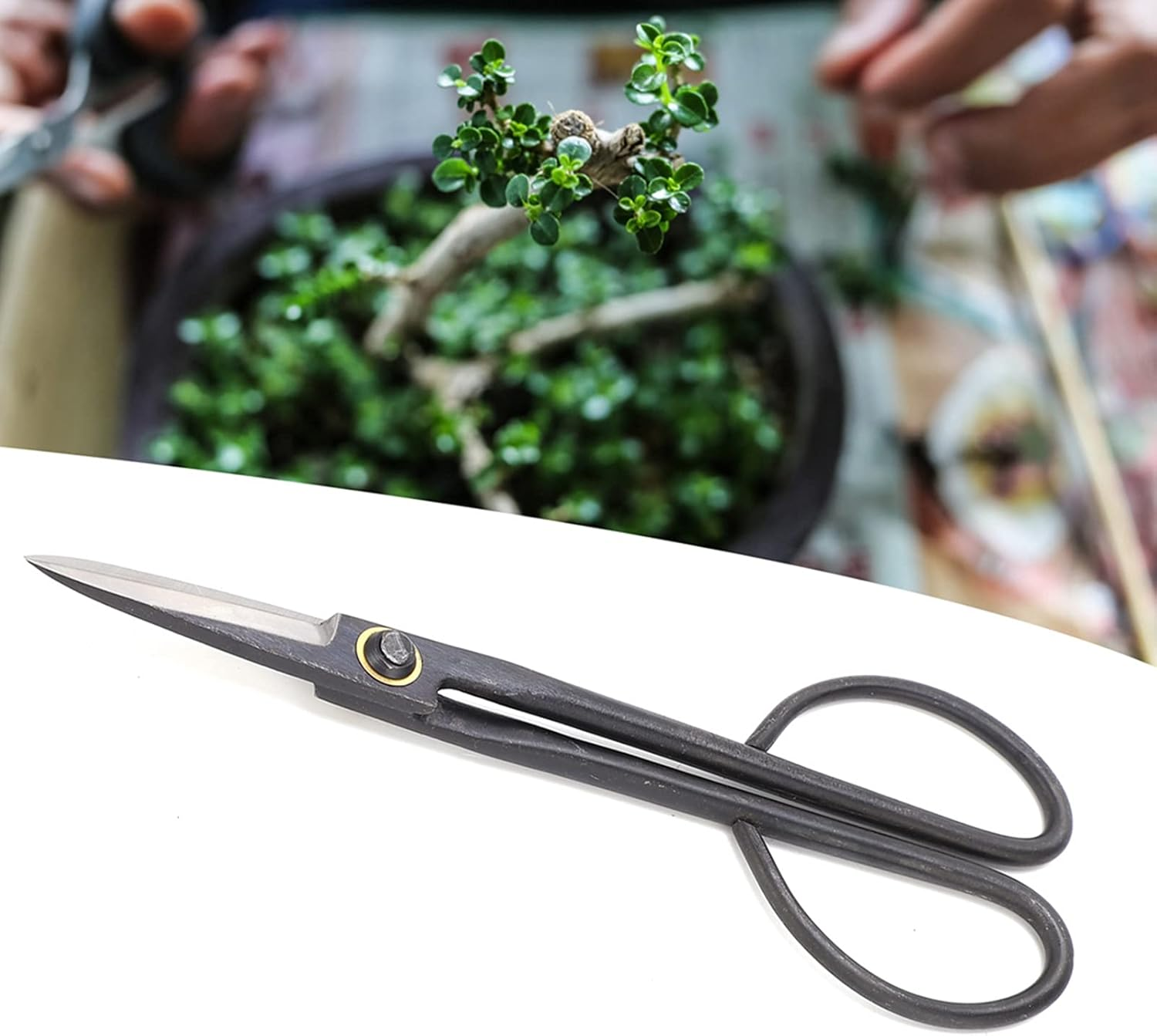 Bonsai Scissors, Garden Scissors Flower Cutting Scissors Plant Trimming Shears with Long Handle Bonsai Scissors SK Steel 210Mm Pruning Shears for Garden Plants Trimming image number 4