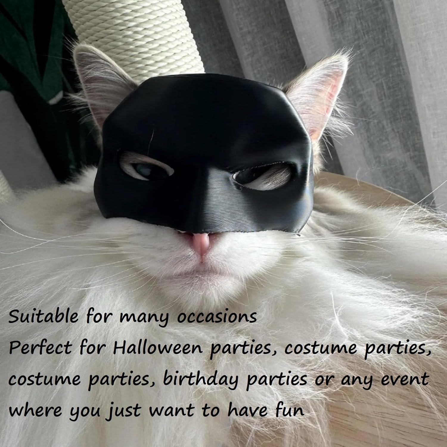Batcat Mask, Bat Mask for Cats, Funny Black Bat Mask for Cats, Cat Bat Cosplay Hat, Cat Bat Mask, Cat Clothing, Pet Costume for Halloween or Daily Fun, 11 Cm image number 6