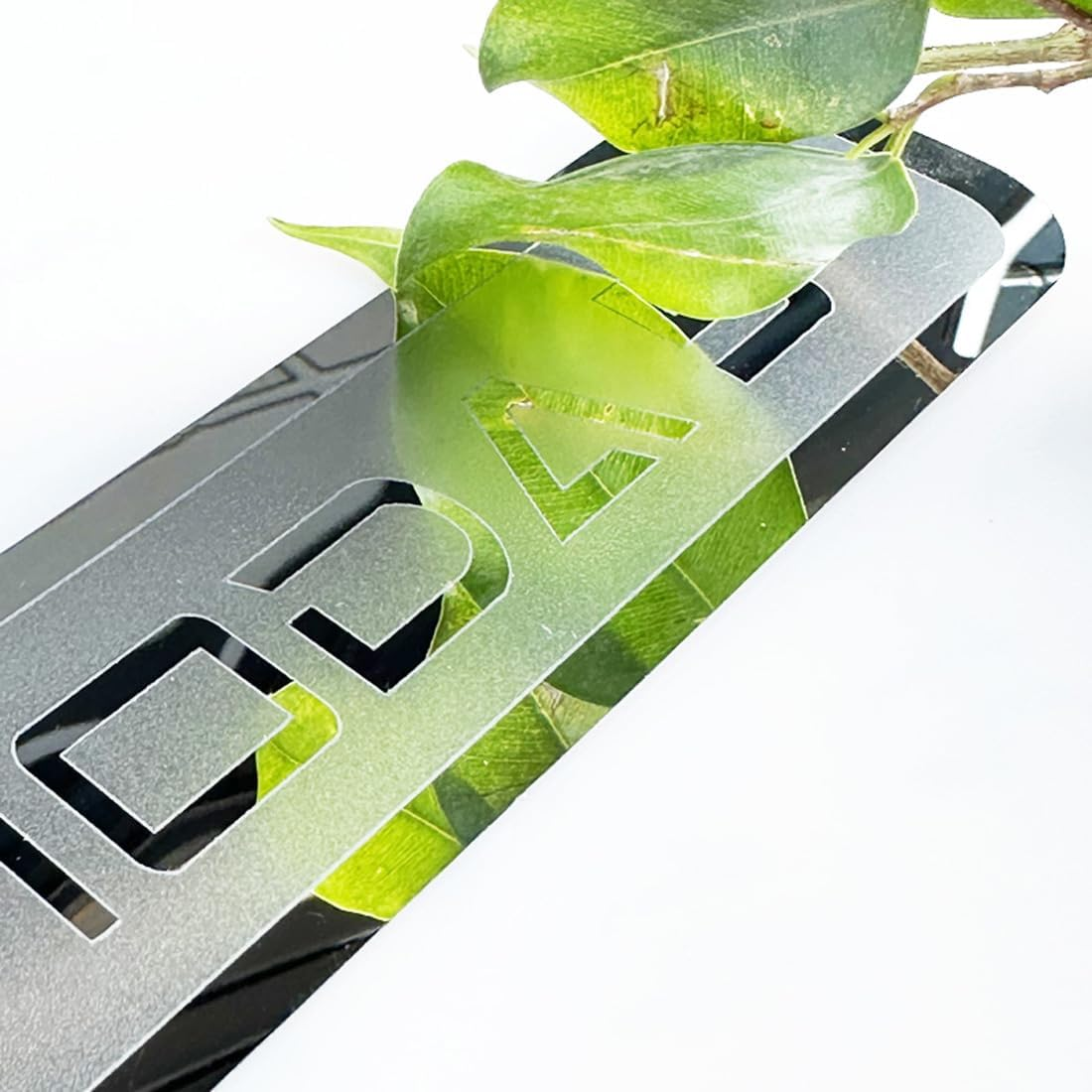 Stainless Door Sill Protector Kick Plate Entry Guard Kit for Chirey Chery Omoda 5 2024 Accessory (Thin Stainless Chrome)