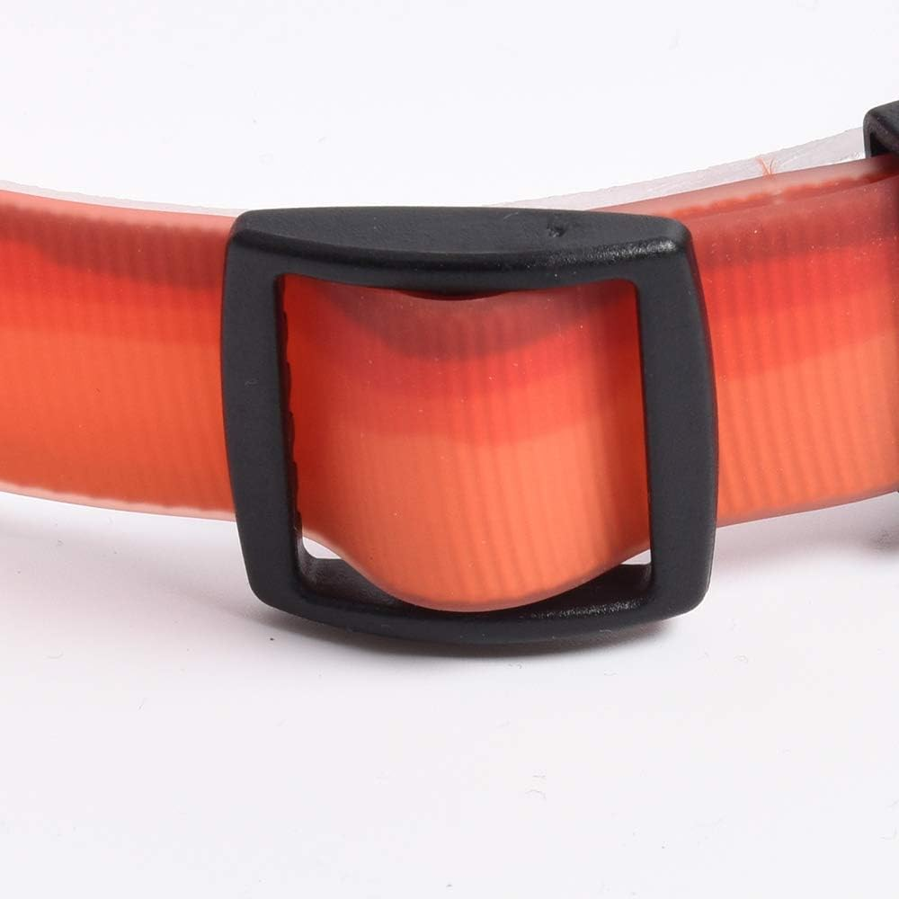 Blackdoggy Waterproof & Odor-Resistant Dog Collar, Heavy-Duty D-Ring & Adjustable Fit, All-Size Pet Collar for Small, Medium and Large Dogs (M, Orange) image number 1