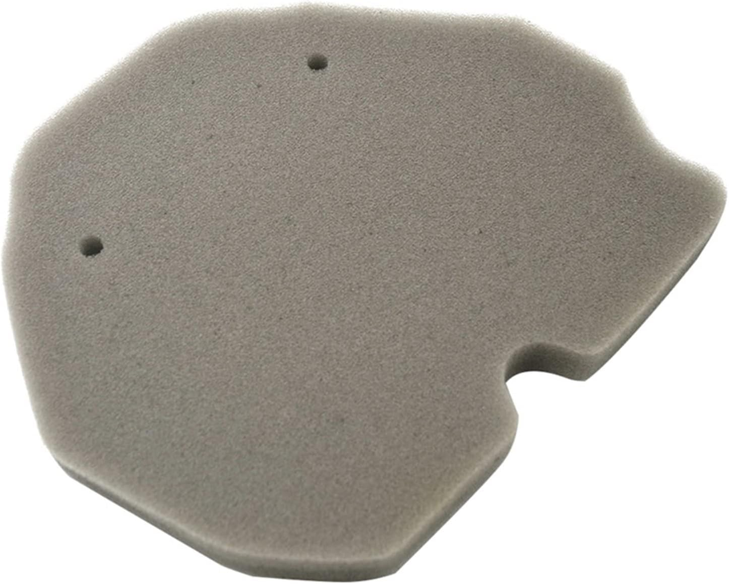 CAREG Cross Motorcycle Parts Air Filter Cleaner Compatible with Benelli BJ600GS BJ600 BJ300GS BJ300 TNT600 BJ 600GS TNT 600 GS 300 Durable image number 1