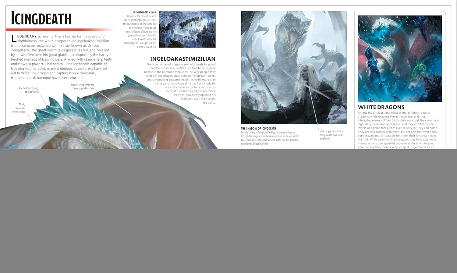 Dungeons & Dragons the Legend of Drizzt Visual Dictionary image number 1