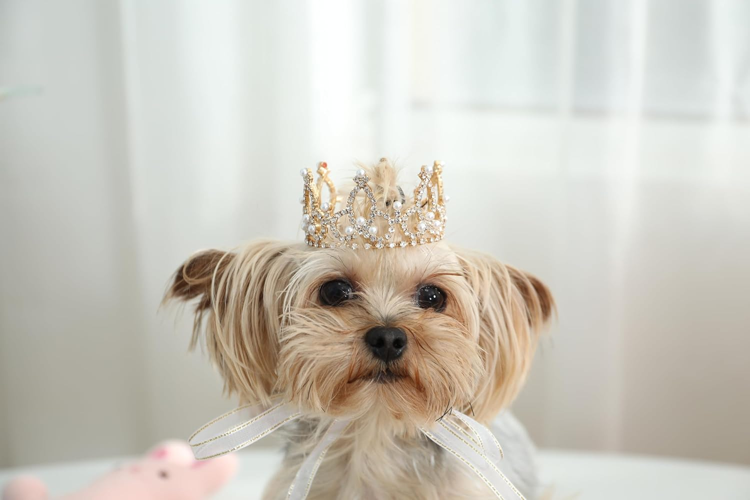 Lovelyshop Pet Series Gold Plated Royal Rhinestone Pearl Full round Dog/Cat Crown for Costume Hair Accessories-Xsmall Size image number 6