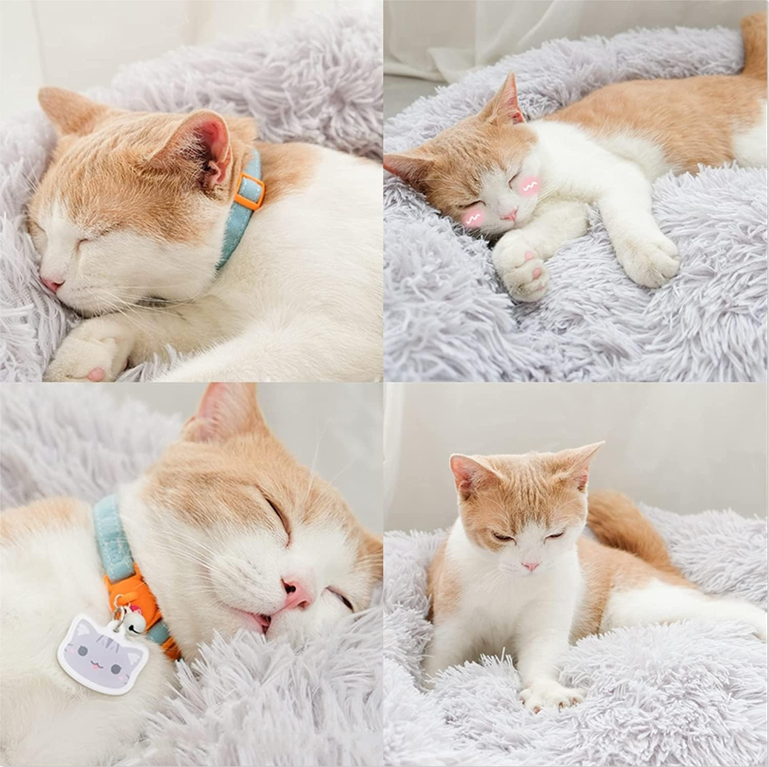 Pet Bed for Cats and Dogs, Doughnut Shape Small Dog Bed Soft Cat Sleeping Bed, Dog round Plush Dog Bed Cat Bed, Portable Warm Soft Comfortable Dog Sofa (Diameter 50 Cm, Light Grey)