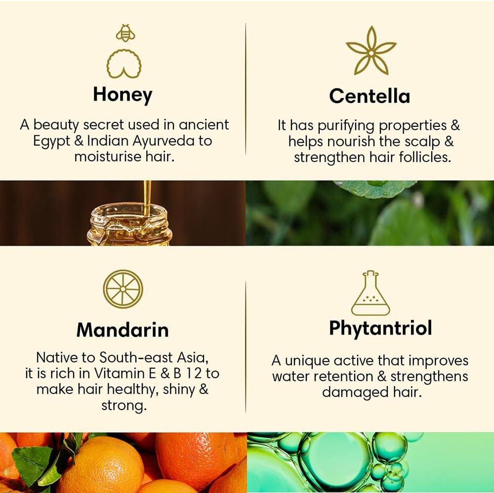 THE EARTH COLLECTIVE Hair Cleanser for Dry and Damaged Hair, Restores Smoothness to Dry and Frizzy Hair, No Harmful Chemicals, 200 Ml image number 3