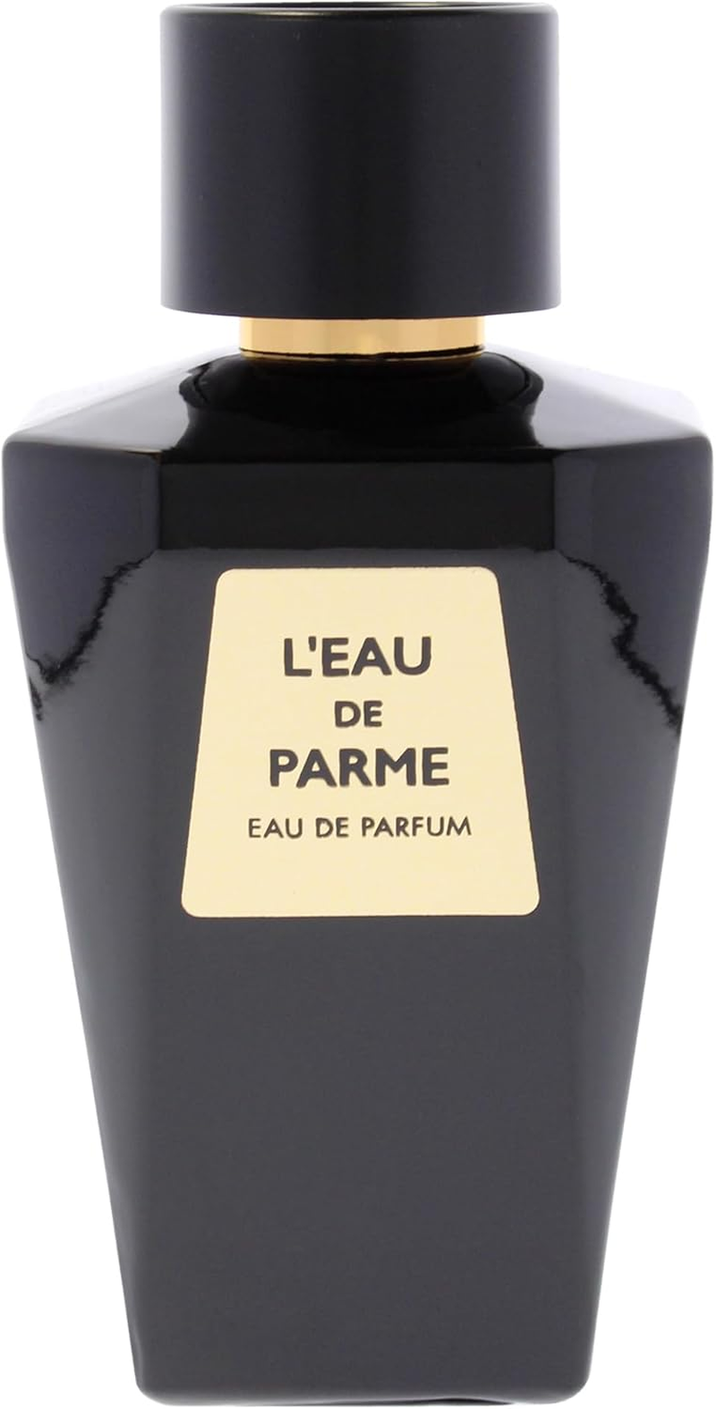 Leau De Parme by Le Vogue for Men - 3.4 Oz EDP Spray image number 3