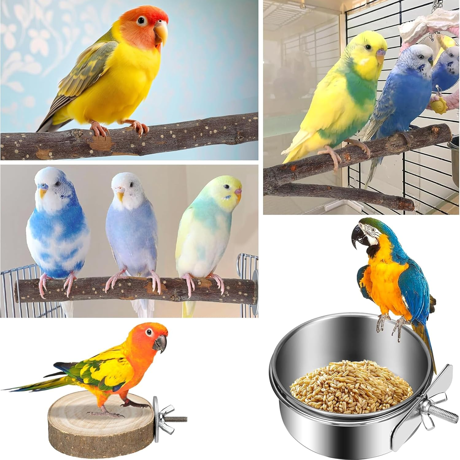 Bird Perches 6 Pack Parakeet Toys Wooden Parrot Stand Branch,With Bird Feeding Cup Set,Round Platform Paw Grinding Stick Platform Bird Exercise Training Climbing Toys for Bird Cage Accessories image number 4