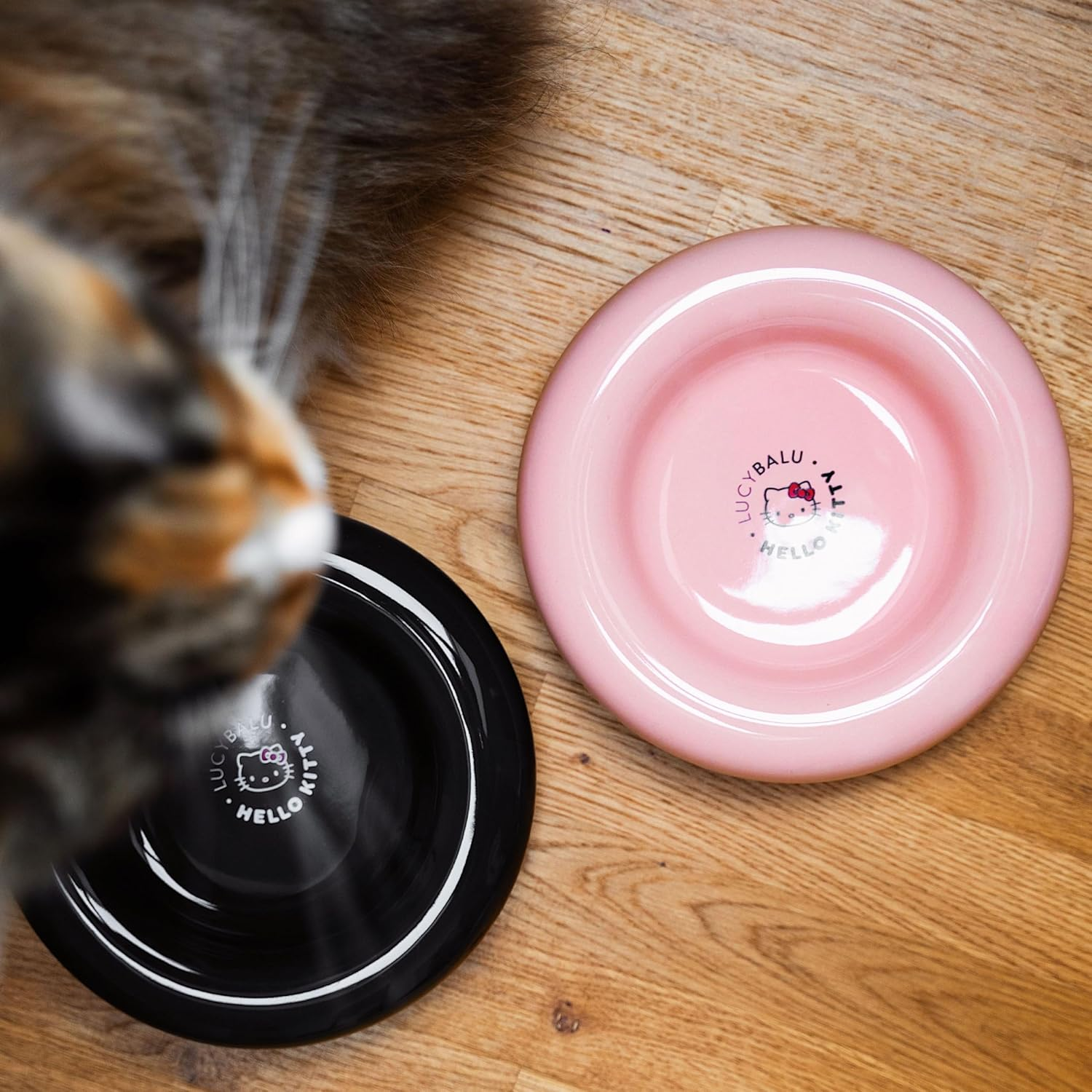 Lucybalu Hello Kitty Drop Porcelain Cat Bowl - Whisker Friendly, Raised Cat Feeding Bowl & Water Bowl - 17Cm X 20Cm X 3Cm - Black image number 4