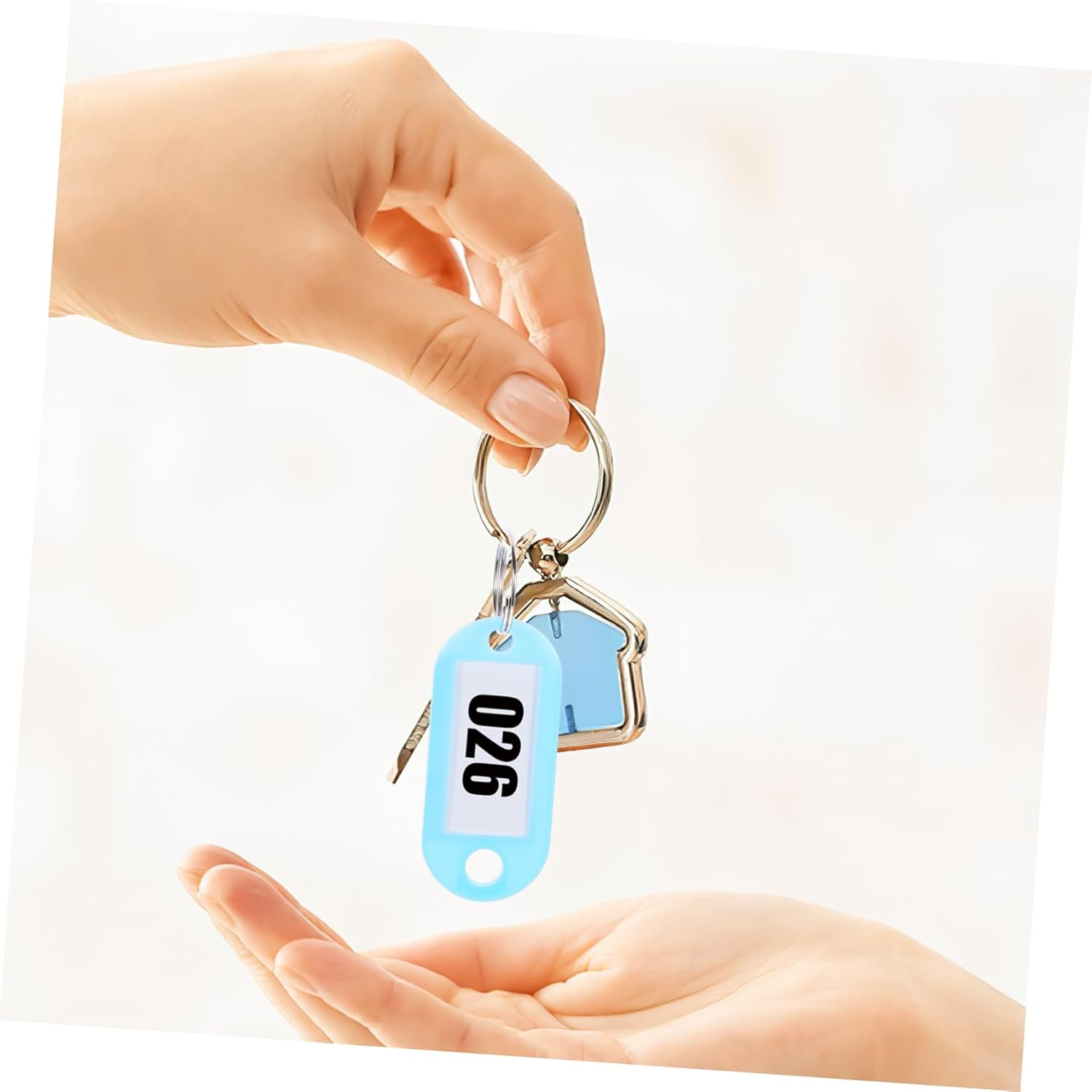 COSMEVIVI 50Pcs Keychain Tag Key Labels Multi-Use Luggage Tags Keychain Luggage Split Ring Key Identifiers Portable Labels Compact image number 6