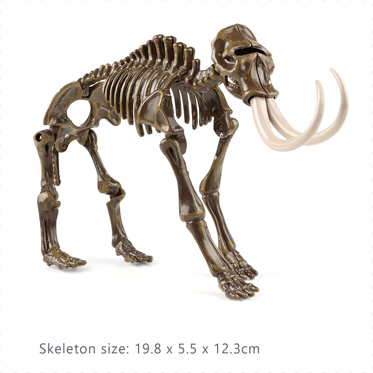 Kids Archeology Dinosaur Bones Digging Kit, Dinosaur Fossil Dig Kit for Kids (Mammoth) image number 1