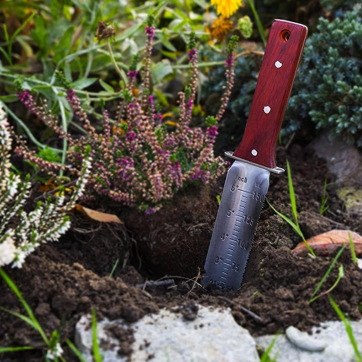 AIMALL Garden Shovel and Pruning Saw Tool Set, 12.32In Outdoor Soil Digging Knife with Leather Case, Multi-Function Weeding and Transplanting Knife for Potted Plants image number 5