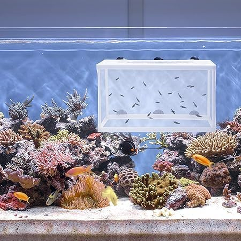 1PCS Fish Breeder Net - Nursery for Aquarium-Fish Breeding Net - Hang on Box,Fish Breeder Box for Hatchery (L) image number 3