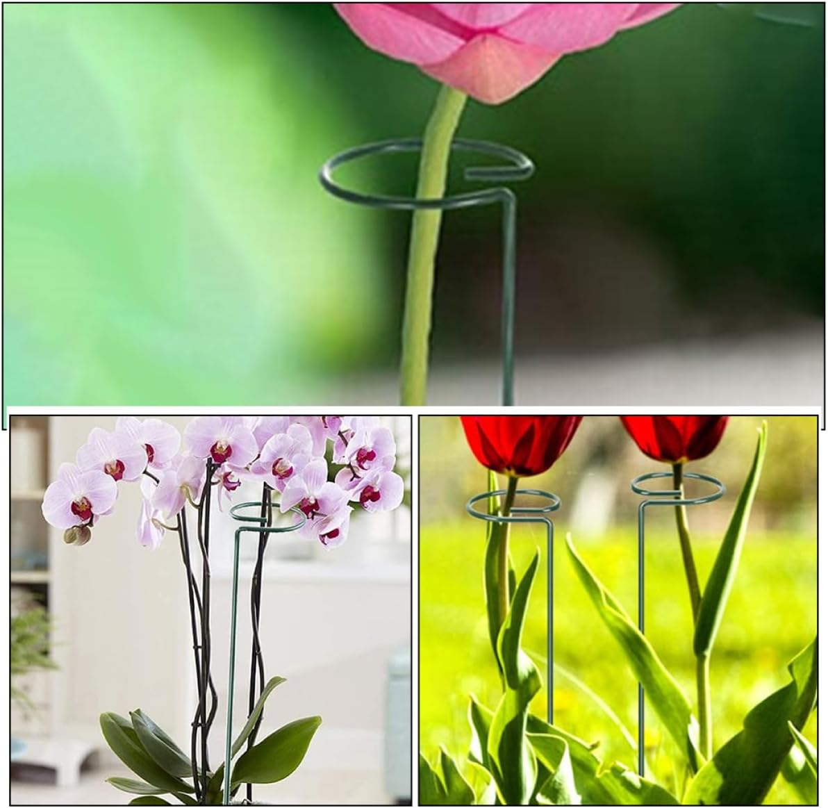 ORFOFE Trellis for Potted Plants Plant Trellis Indoor Garden Support Tall Stakes for Gardening image number 5