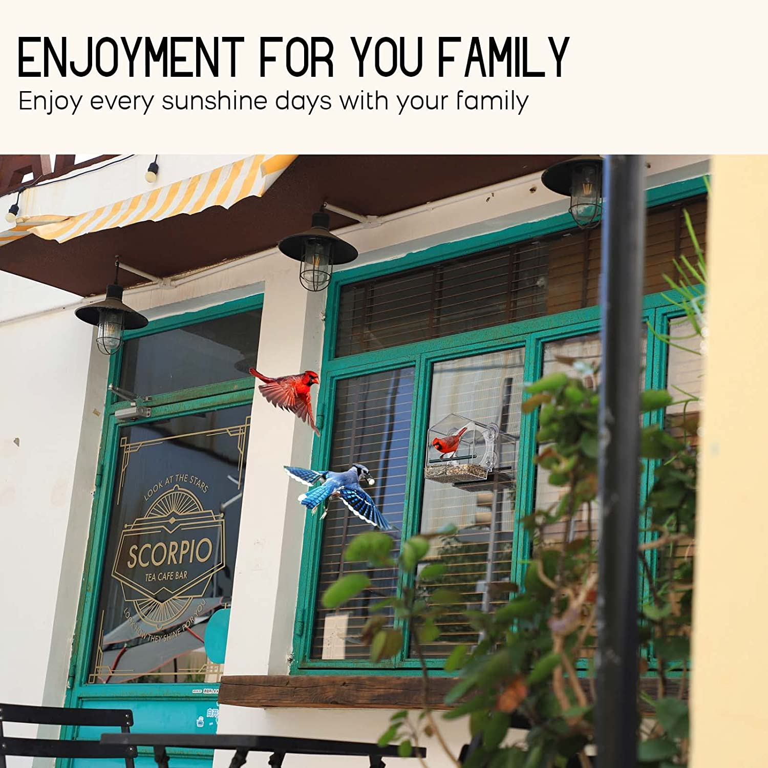 Mrcrafts Window Bird Feeder for outside with Strong Suction Cups, Fits for Cardinals, Finches, Chickadees Etc.&hellip;