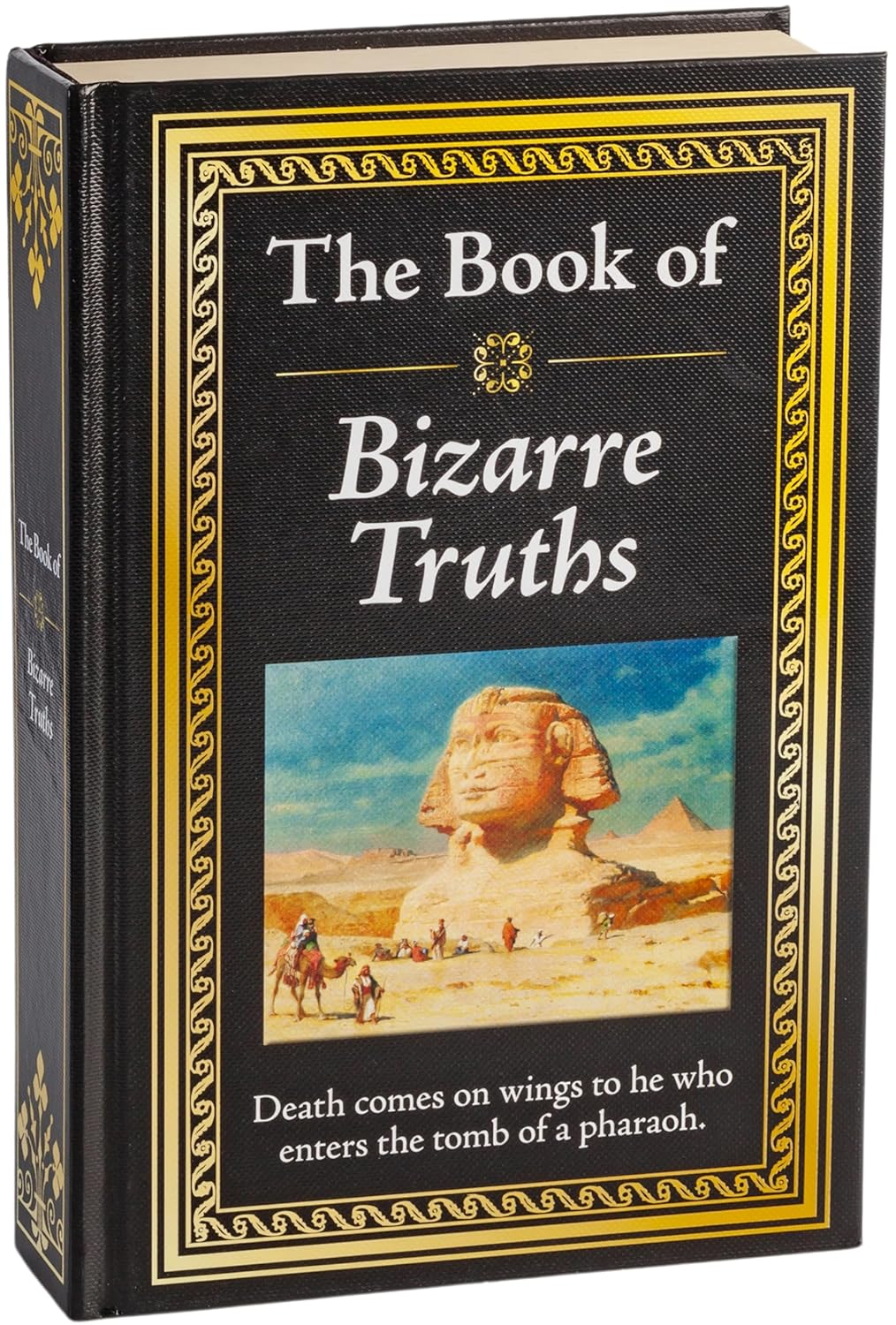 The Book of Bizarre Truths: Big Book of Provocative Questions & Myth-Busting Answers Hardcover Gift for Trivia Buffs, Curious Minds, Skeptics & Knowledge Seekers image number 4