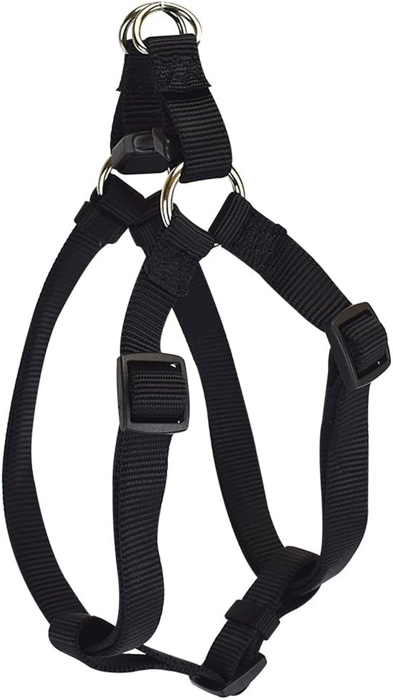 Hamilton Adjustable Easy-On Step-In Style Dog Harness, 3/8-Inch by 10-16-Inch, Extra Small, Blue