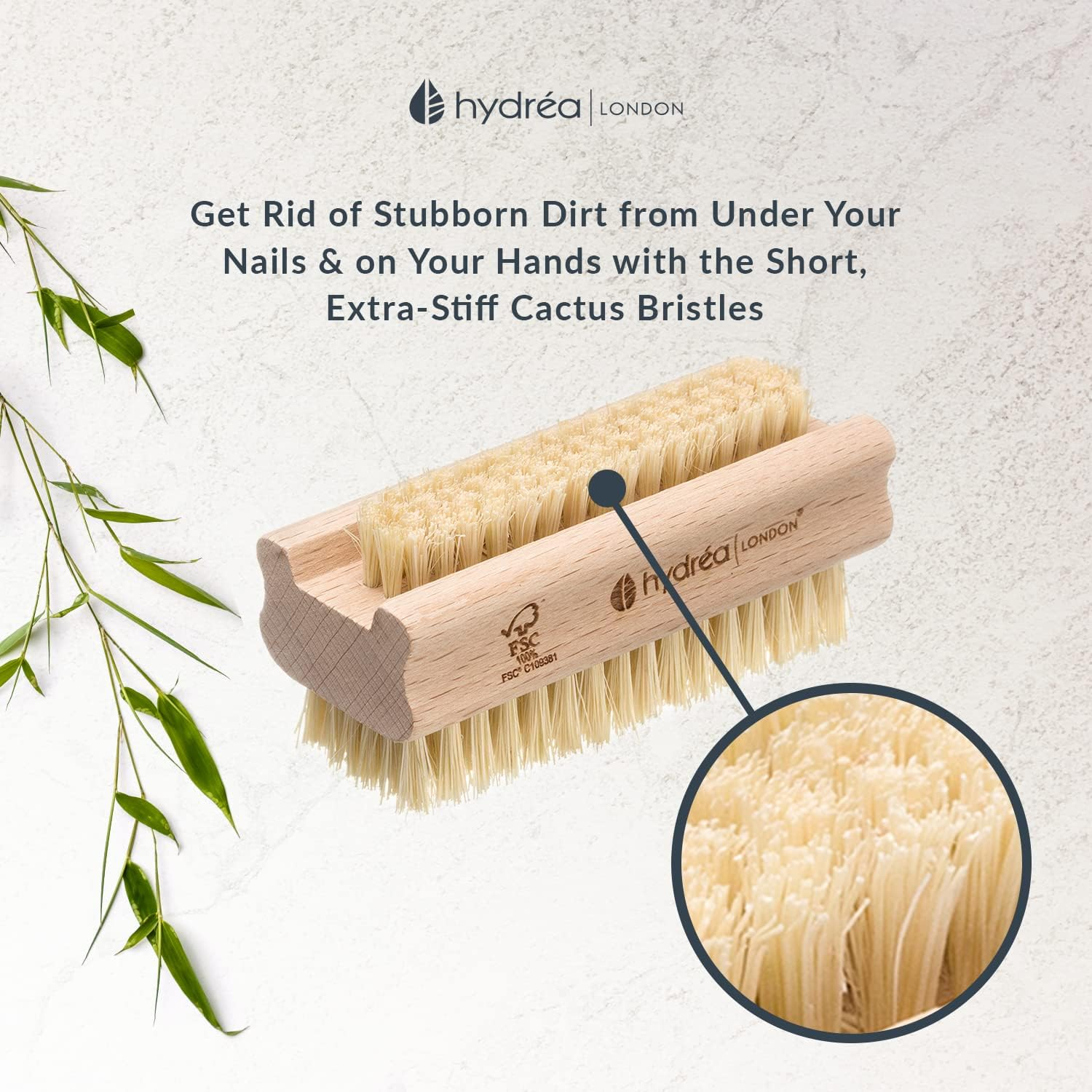 Hydrea London Nail Brush - Double-Sided Pedicure & Manicure Brush with Natural Cactus Bristles - 100% Vegan Hand Scrub, Fingernail Cleaner, & Tough Toenail Cleaning Scrubber - FSC&reg; Certified Beechwood image number 6
