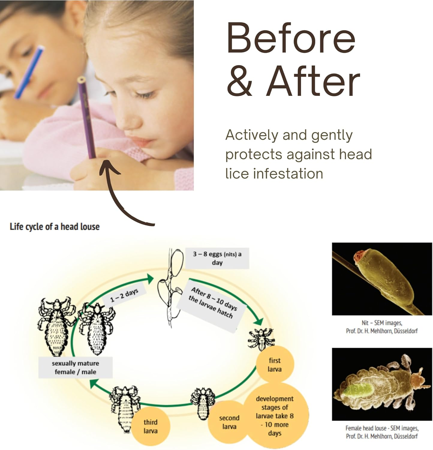 RAUSCH Willow Bark Treatment Shampoo 200 Ml image number 1
