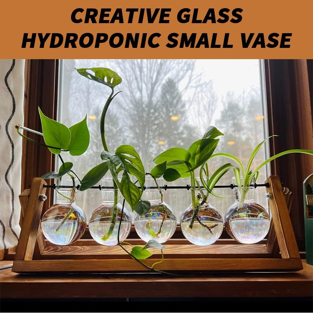 TOMVAES Creative Hydroponic Plant Stand,Glass Desktop Planter,Bulb Vase, Plant Propagation Station, for Hydroponics Plants Office Hotel Garden Home Decor,5 Hyacinth Vase