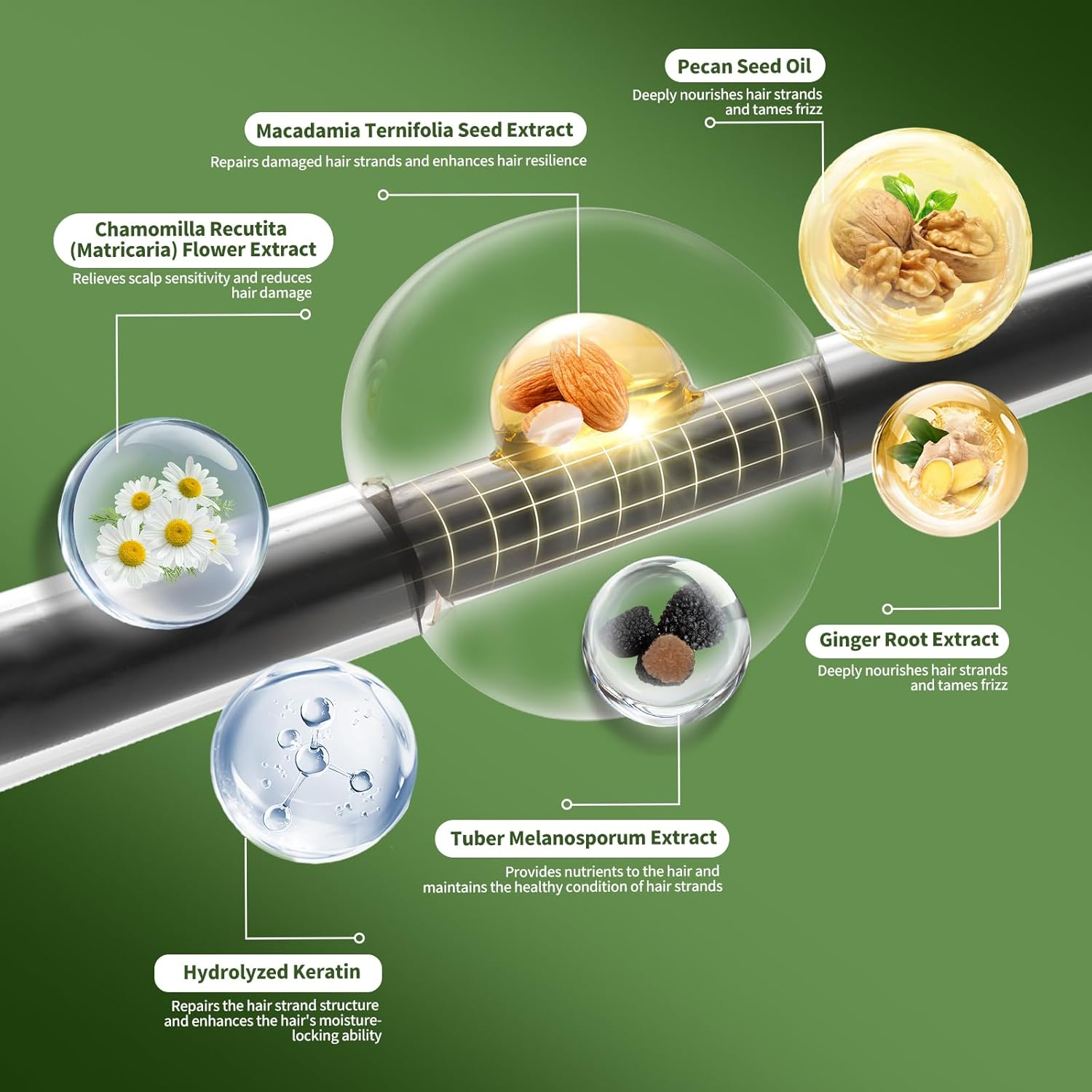 SEVICH Hair Color for Men Gray Coverage, Natural Plant Formula with Applicator Brush, No Ammonia No Peroxide, Quick & Easy Root Touch up in 30 Minutes (Black) image number 1