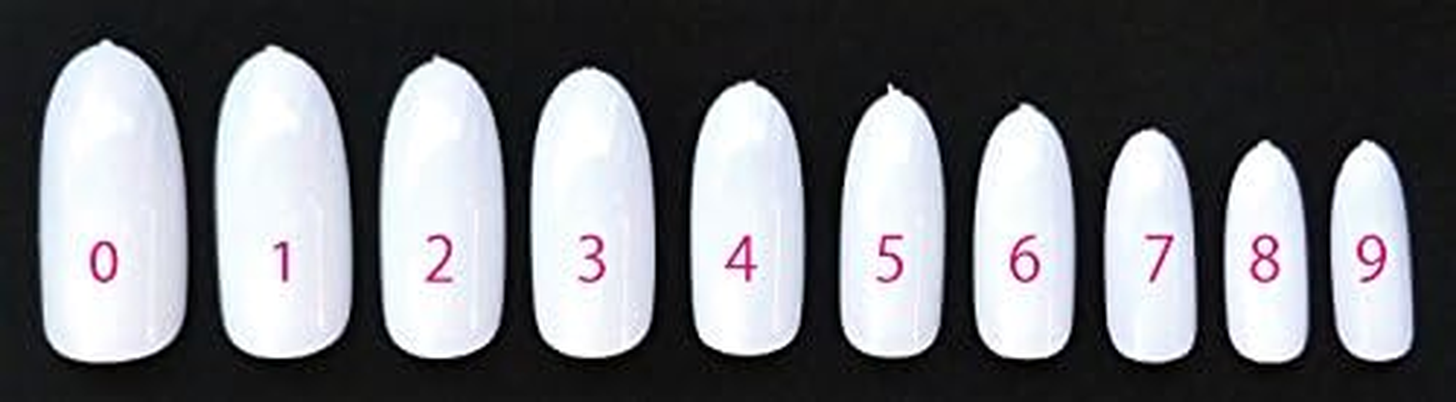 Premier Tips by Size Longland White P16-3 image number 2