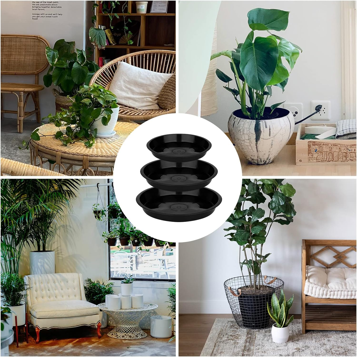 LUTER 12Pcs Garden Plant Saucer, 5.5/6.2/7 Inch round Plant Water Catcher Tray Plastic Plants Trays Flower Pot Drip Trays for Potted Plants (Black) image number 3