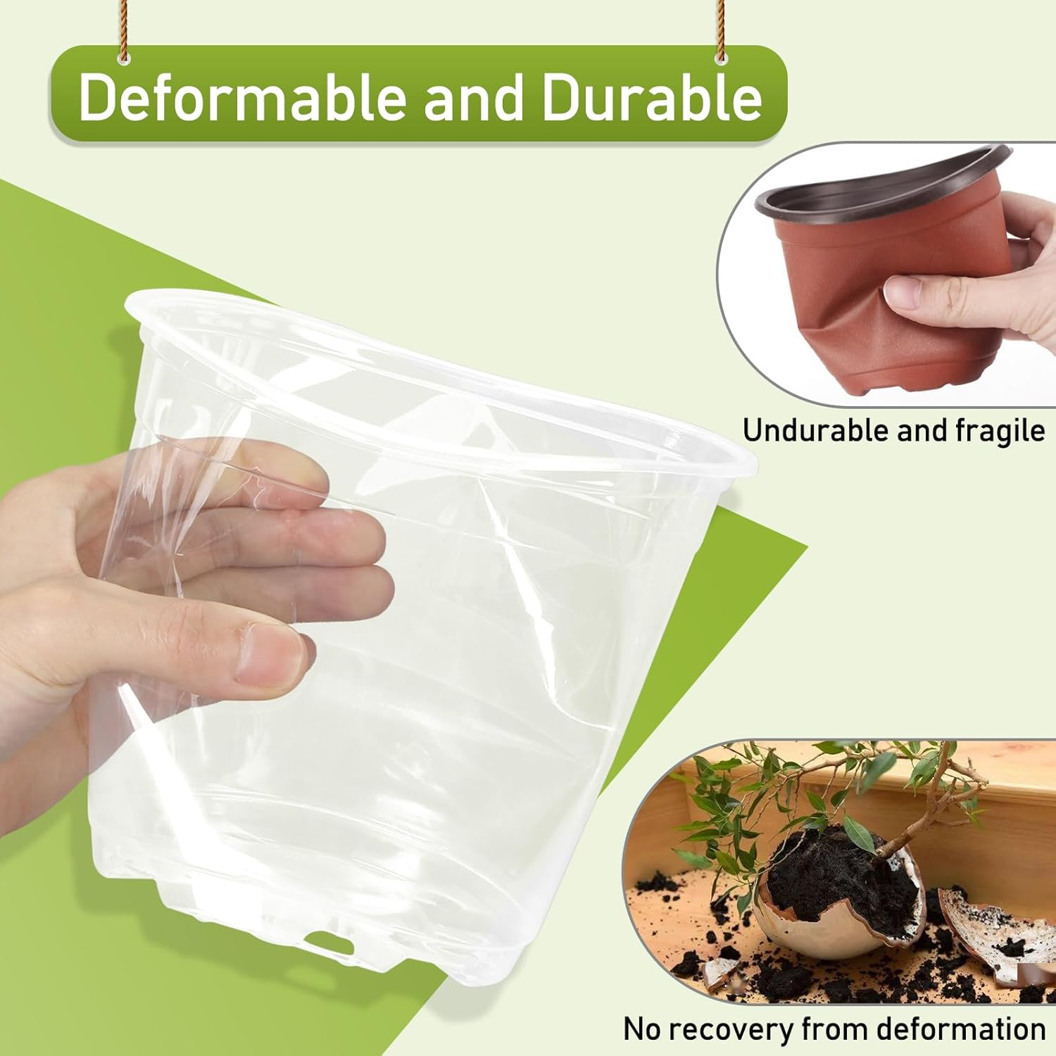 TAQIXI 3/4/5/6 Inch Clear Nursery Pots with Drainage Holes and Saucers, 20 Pack Clear Plastic Plant Pot, Plant Pot Seed Starter Pots for Succulents image number 2