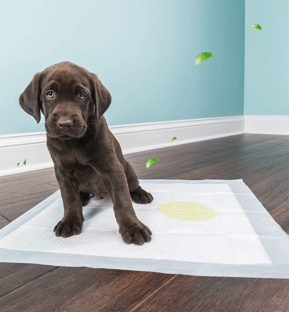 BPS Training Pads for Dogs and Cats (Pack of 15, 40 X 50 Cm, Blue, Polyethylene, Cellulose) image number 2