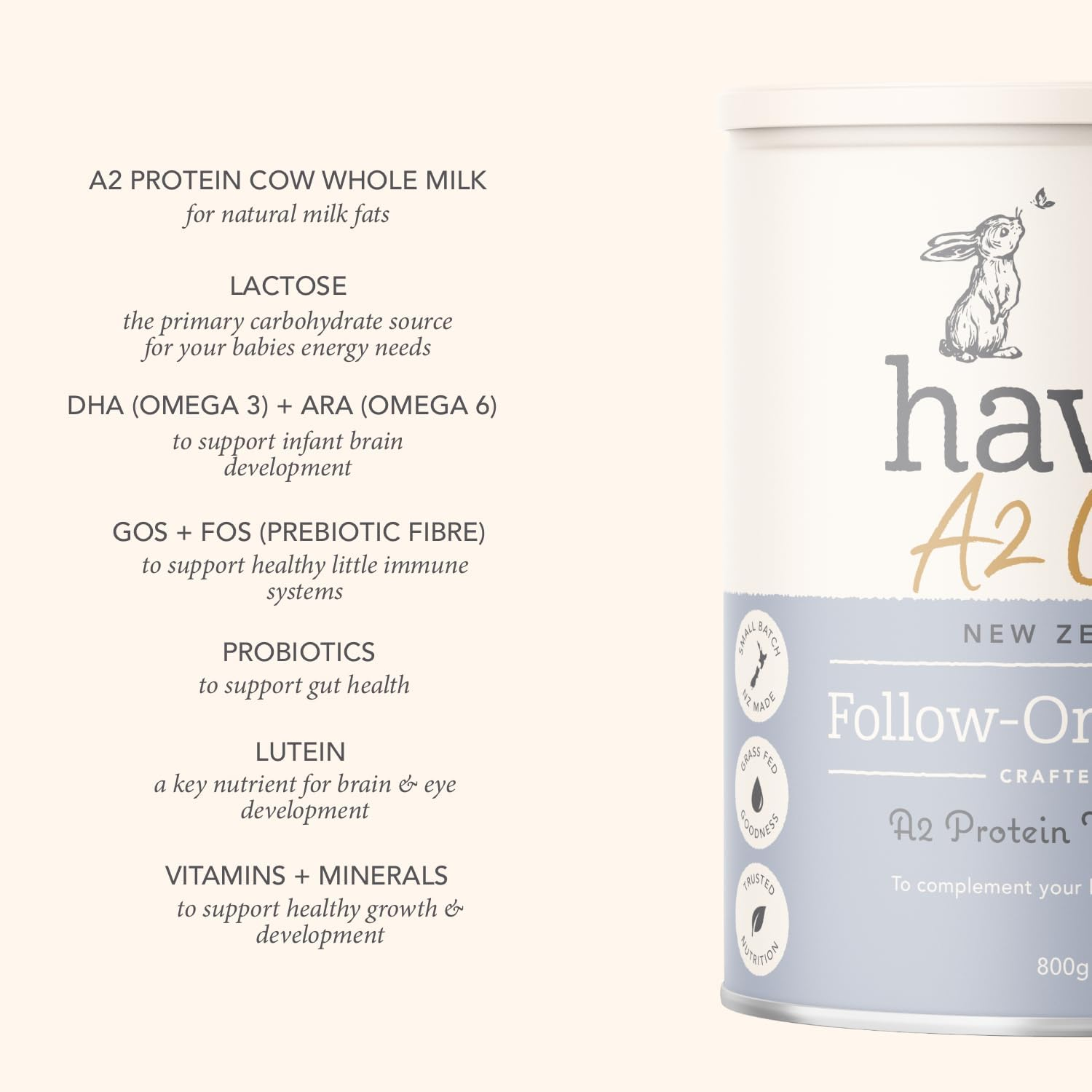 Haven A2 Cow Follow-On Formula, Stage 2 (6&ndash;12 Months), Made with Gentle New Zealand Grass-Fed Cow&rsquo;S Whole Milk, with Prebiotics, Probiotics, Palm Oil Free, GMO Free &ndash; 800G image number 2