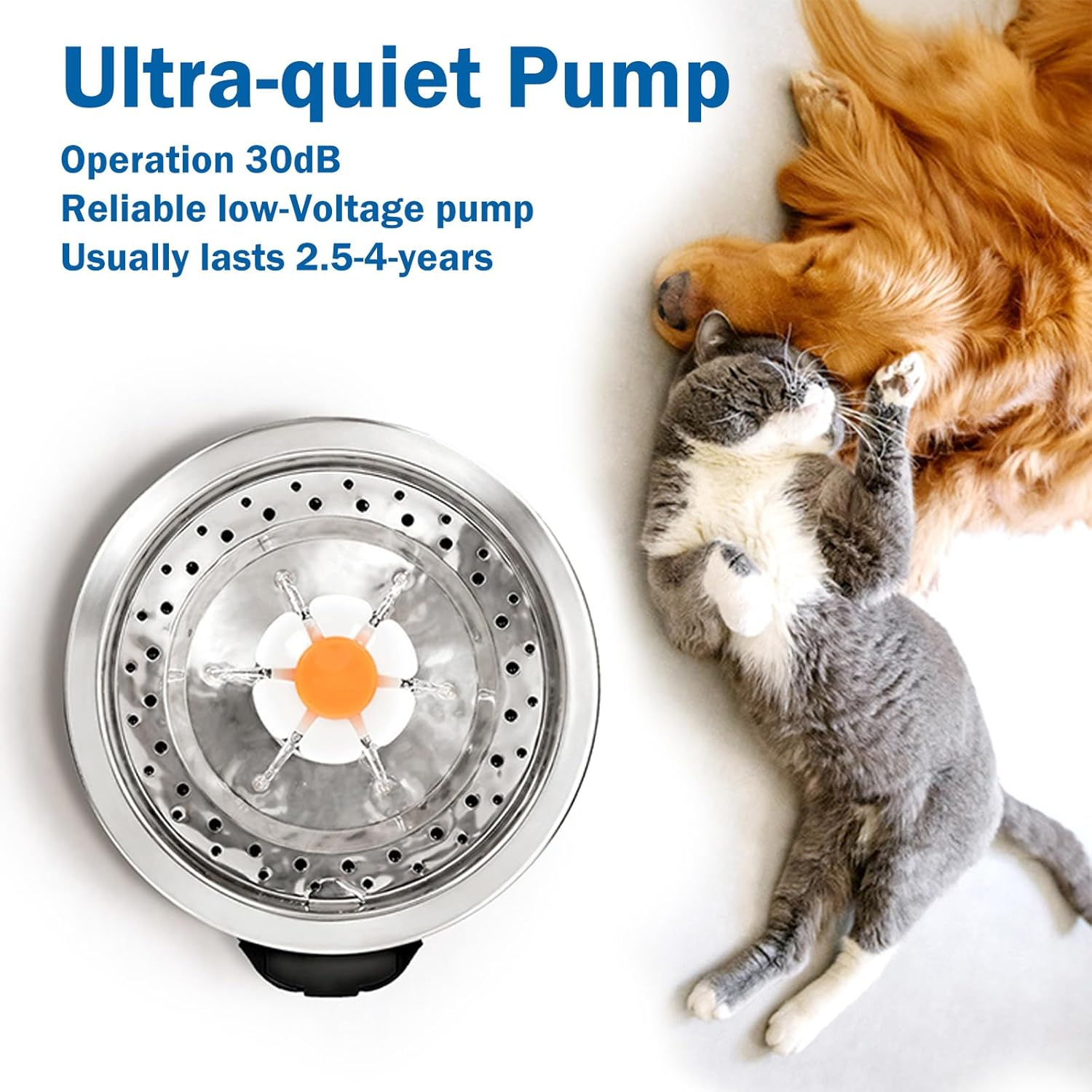 Stainless Steel Pet Drinking Fountain 81Oz/2.4L, Water Level Window & LED Light, Automatic Water Dispenser for Cats and Dogs, Includes 1 Filter (Stainless Steel, Large) - White image number 4