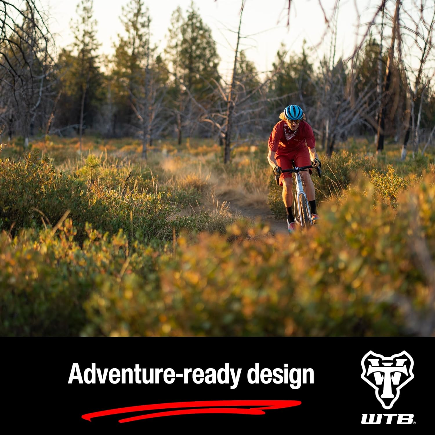 WTB Ranger Mountain Bike Tire, Tubeless Ready Folding Bead, Lightweight Fast Rolling, Available with Black or Tan Sidewalls, Dual DNA SG2 Puncture Protection, Great for Trail & Bikepacking image number 6