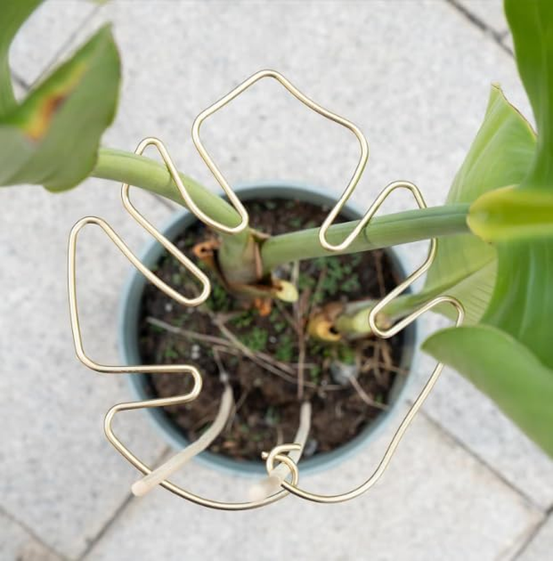 Metal Monstera Plant Support Stabilizer, 4Pcs Indoor Outdoor Plant Holder, Metal Monstera Stabilizer Grapple Holder, Monstera Stabilizer Grapple Holder, Metal Monstera Plant Support