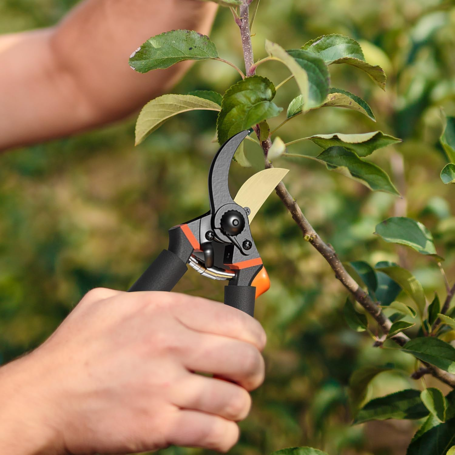 8.3&rdquo; Secateurs, Bypass Pruning Shears with Replacement Blades and Springs, Quality Gardening Shears, High-Performance Garden Secateurs,Gardening Hand Pruner,Gardening Tools for Pruning image number 3