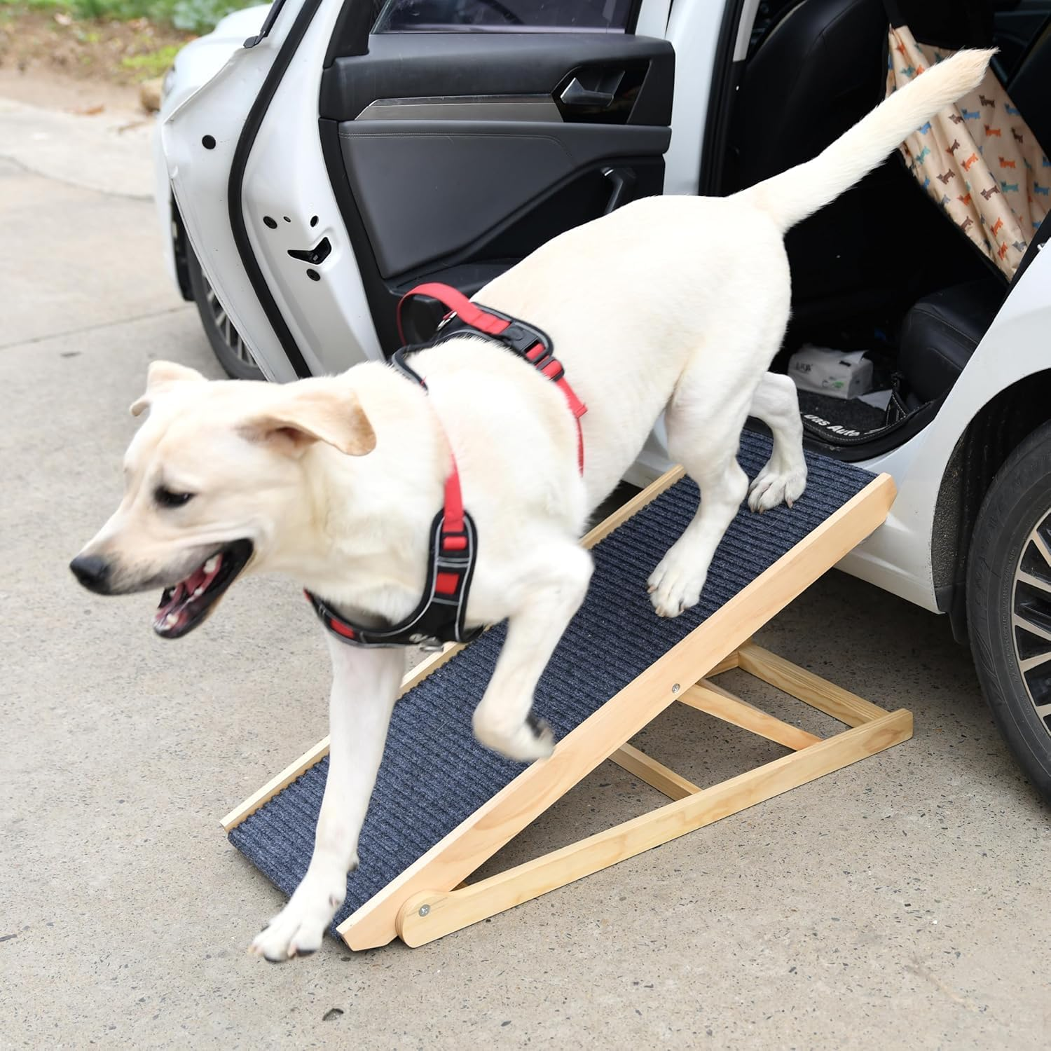 Folding Dog Ramp 4 Levels Adjustable Wooden Portable Cats Ramp with Non Slip Carpet Surface for Bed Car Couch SUV (XL)