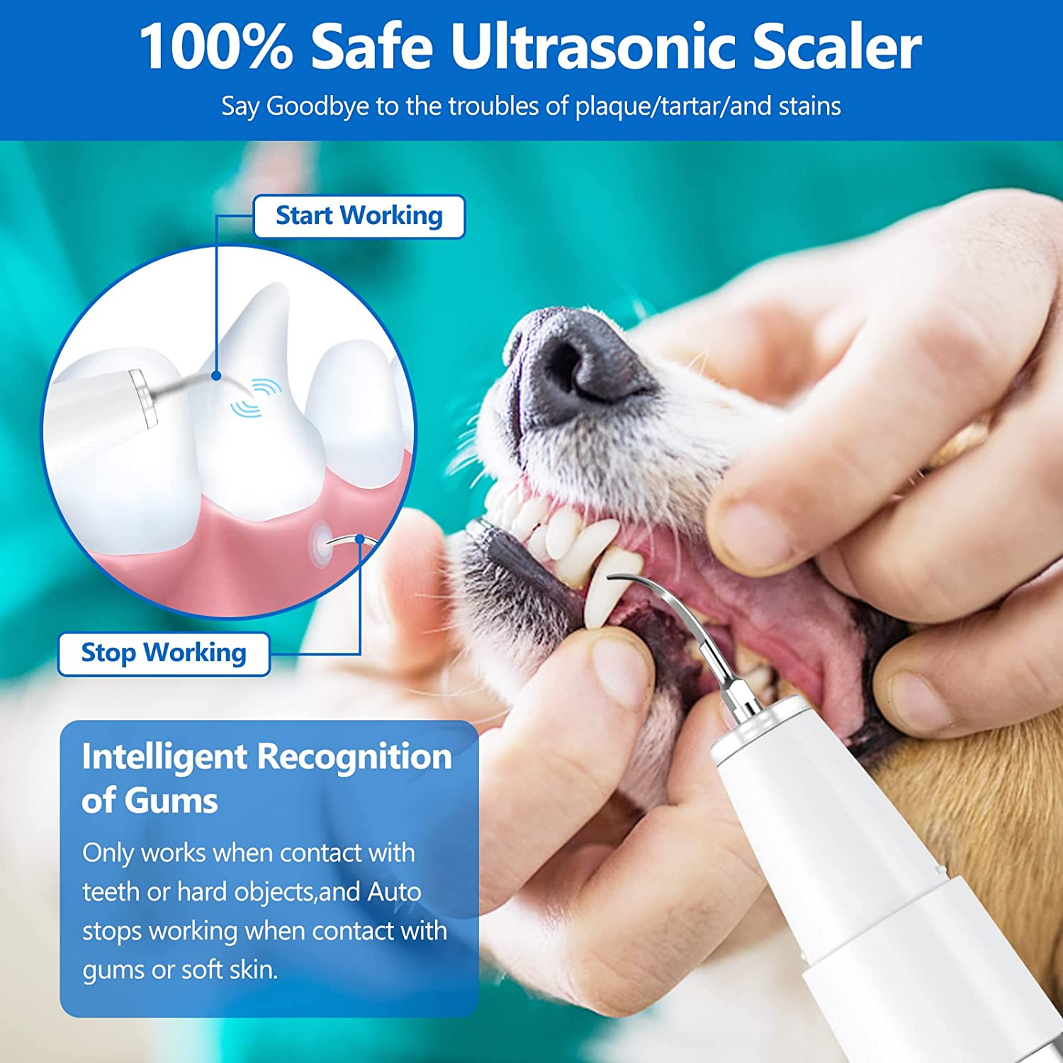 Ni-Shen Dog Plaque Remover for Teeth，Pet Ultrasonic Tooth Cleaner，Teeth Cleaning Kit -Tartar Remover for Teeth Stains for Dogs and Cats (White) image number 2