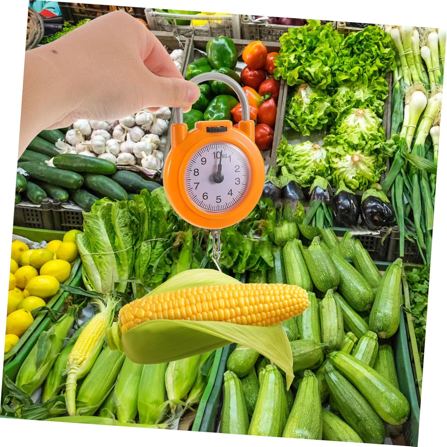 LIGIGWASH Scale for Luggage High Precision Spring Scale Hook for Travel for Fish and Suitcases image number 2