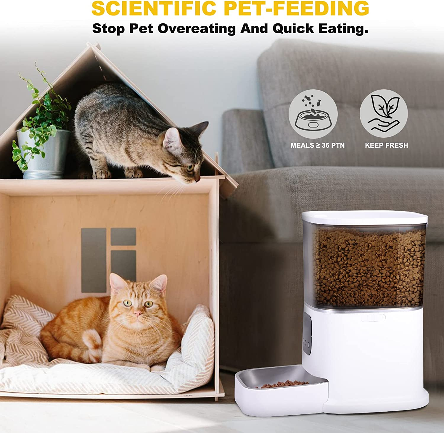 6L Automatic Cat Feeder, Smart Pet Feeder for Cats and Dogs, Auto Dry Food Dispenser with No-Clog Design, Voice Recorder, Portion Control and Stainless Steel Bowl (Standard) image number 2