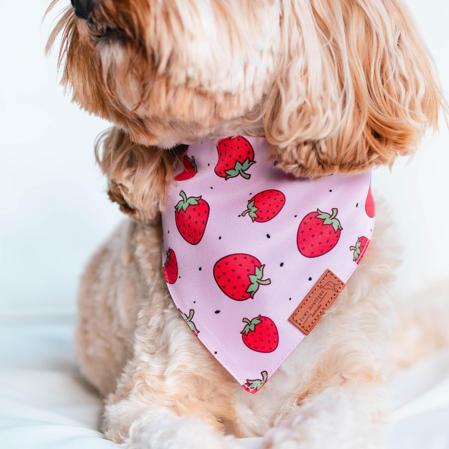 Paws Boutique Premium Dog Bandana/Scarf | Design: Xtra Berry Sweet | Reversible Dual Layered/Sided | Small, Medium & Large Pets | Unique Style | Accessories for Puppies & Dogs (M) image number 1
