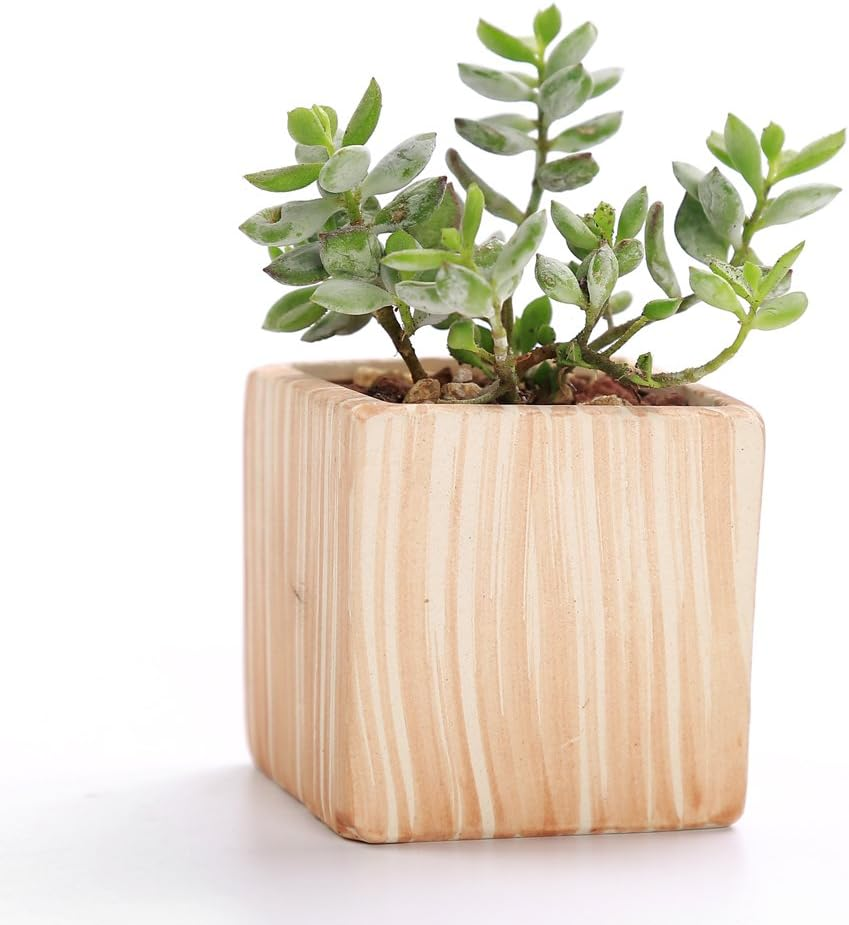 6 Pack 7.5CM Wooden Pattern Plant Pots Ceramic Planters Succulent Plant Pot/Cactus Plant Pot Flower Pot Container Planter Perfect Gife Idea image number 3