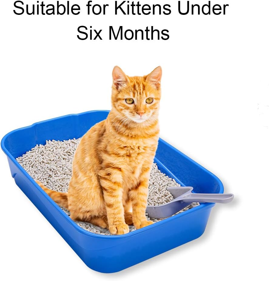 Kitty Litter Box Starter Kit - Small Cat Litter Pan without Lid, Litter Mat, Scoop and Bowl for Kitten within 3 Months (Greyscoop) image number 6