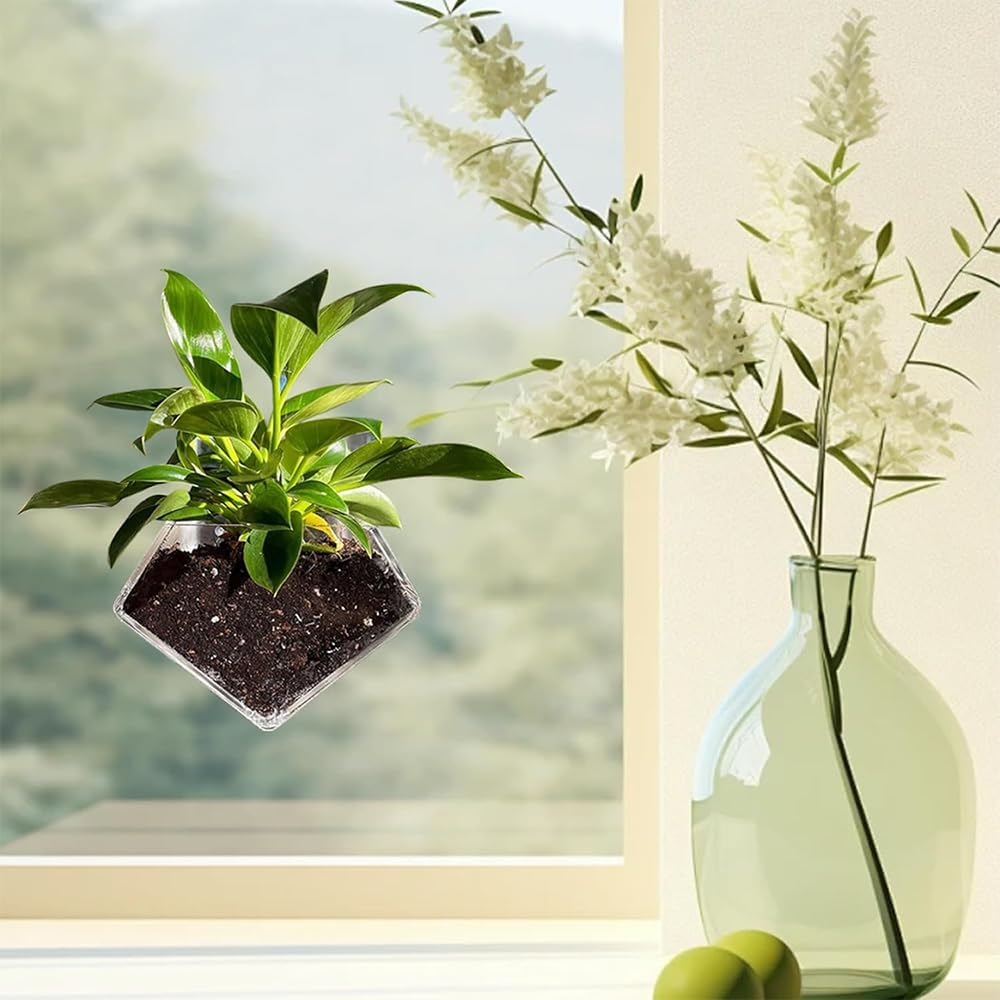 NYGHMY 1 Pcs Diamond Shape Acrylic Window Planter - Transparent Suction Cup Pot for Succulents, Herbs, and Indoor Gardens image number 3