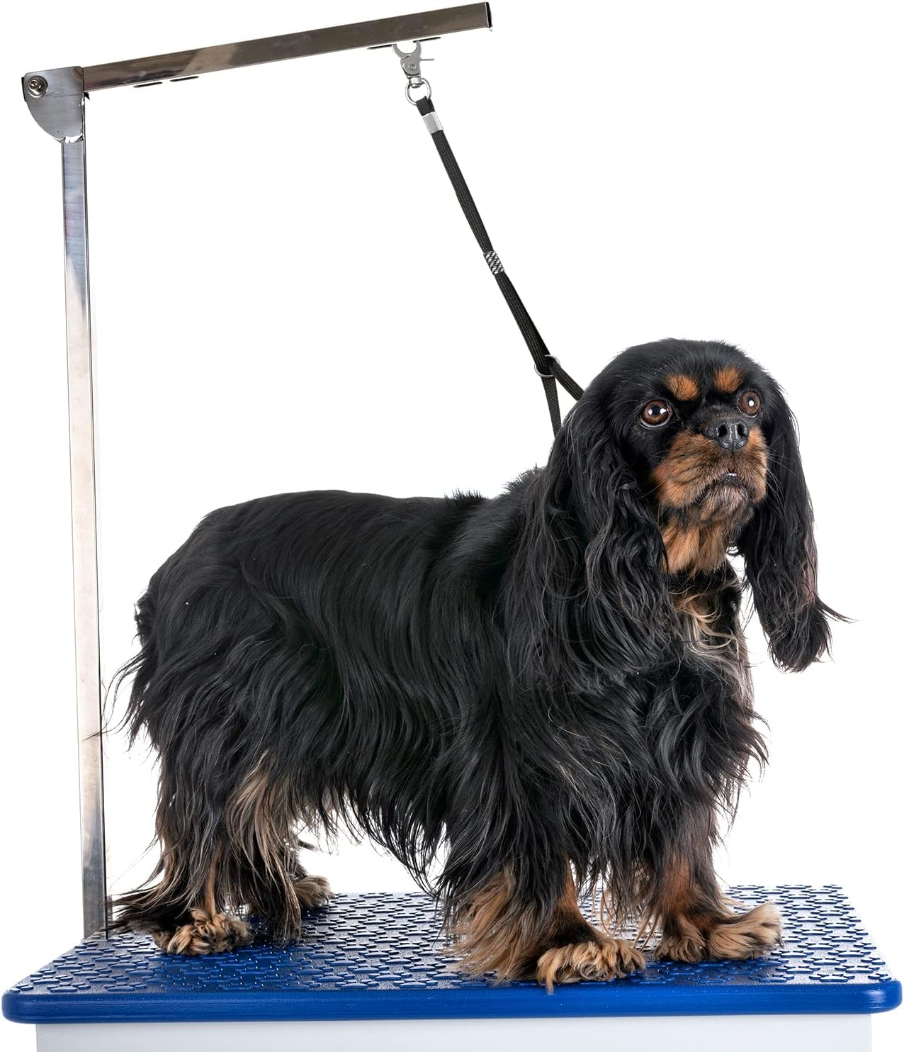 Periflowin Pet Dog Grooming Loop Pet Bathing Tether Straps Heavy Duty Nylon Restraint Noose for Pet Bathing - 4 Pack 22 Inches