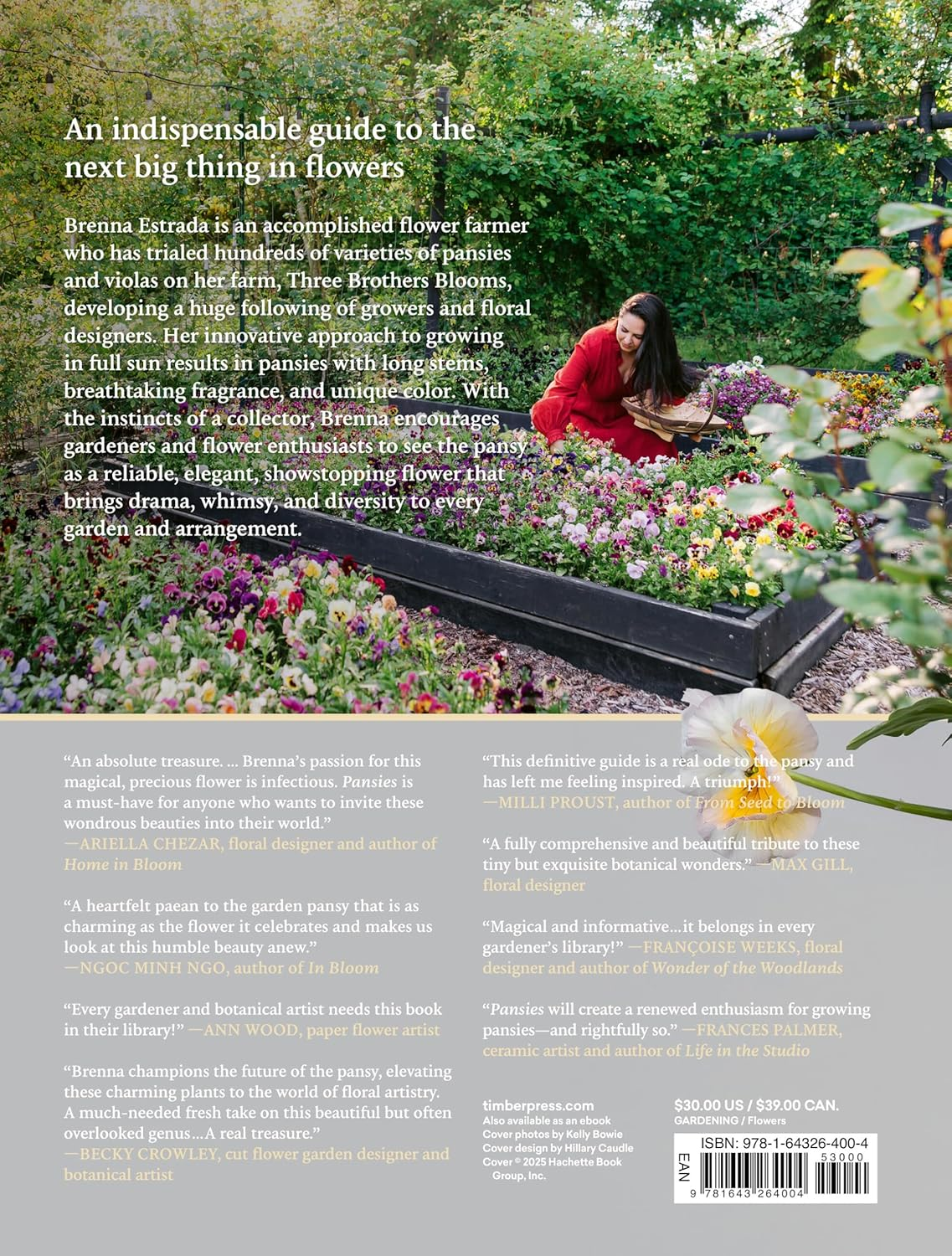 Pansies: How to Grow, Reimagine, and Create Beauty with Pansies and Violas image number 4