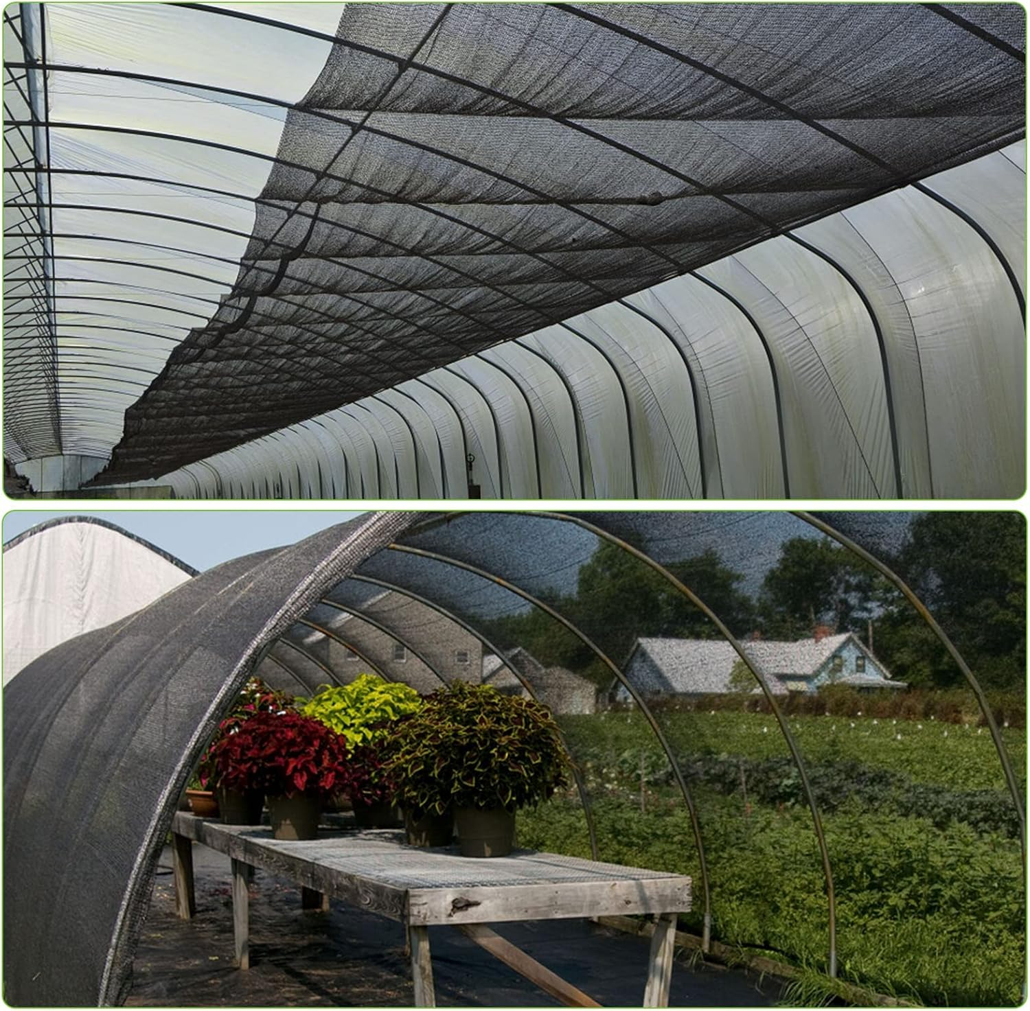 RGQSUN Mosquito Netting 78X10Ft Garden Mesh Netting, Fly Bird Net Barrier Hunting Blind Plant Protecting Net, 3X24M Black image number 6