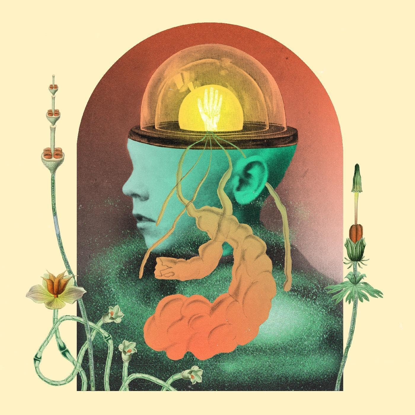 Akousmatikous Akousmatikous image number 1