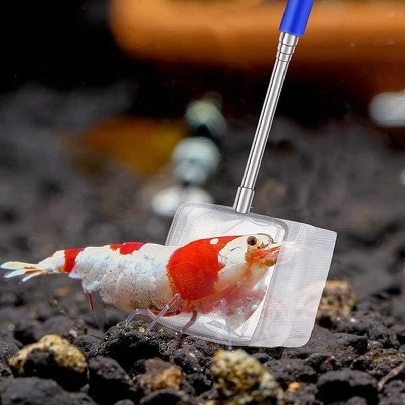 2Pcs Small Telescopic Shrimp Net, Aquarium Shrimp Net, Telescopic Fish Tank Shrimp Net, Mini Telescopic Aquarium Fish Net for Small Fish Shrimp Insect (Square Net+Round Net