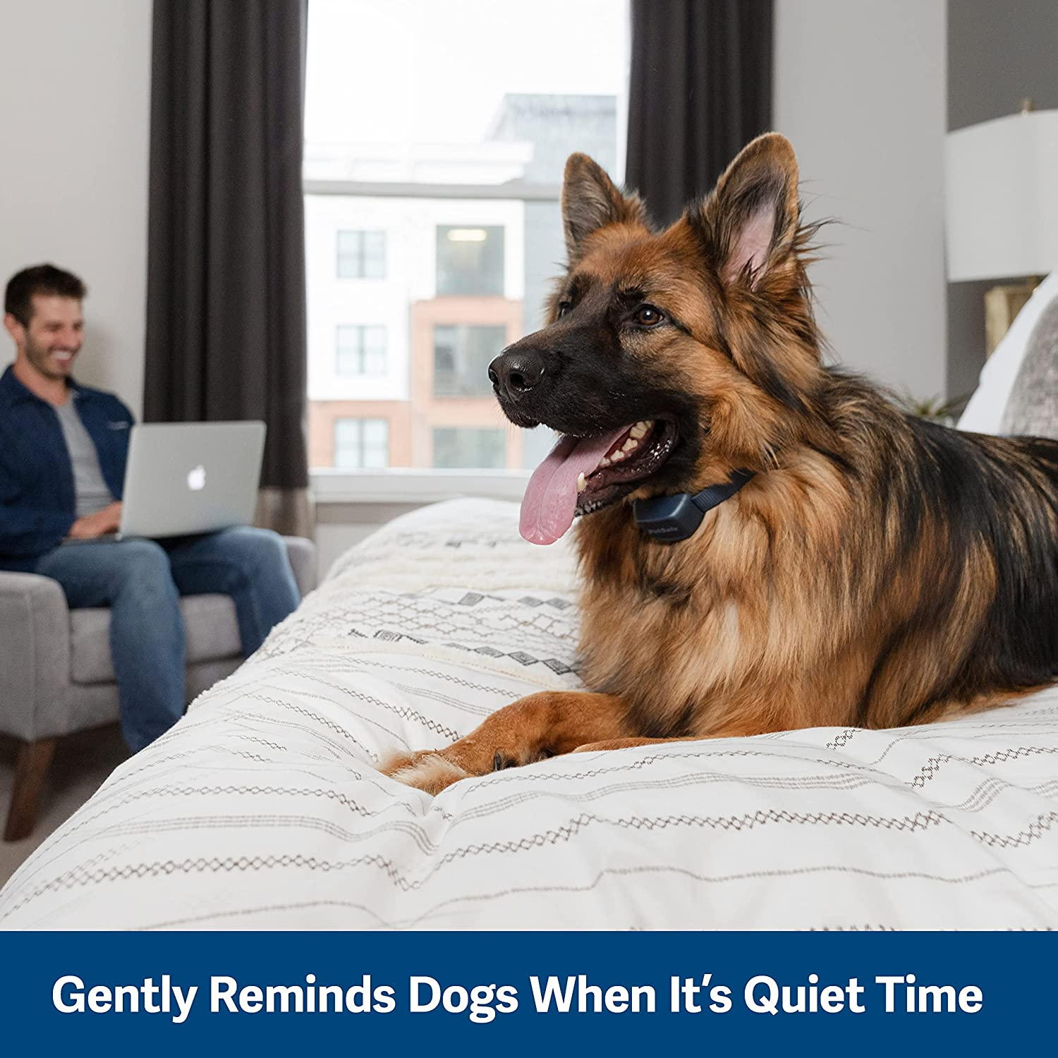 Petsafe&reg; Audible Bark Collar Navy