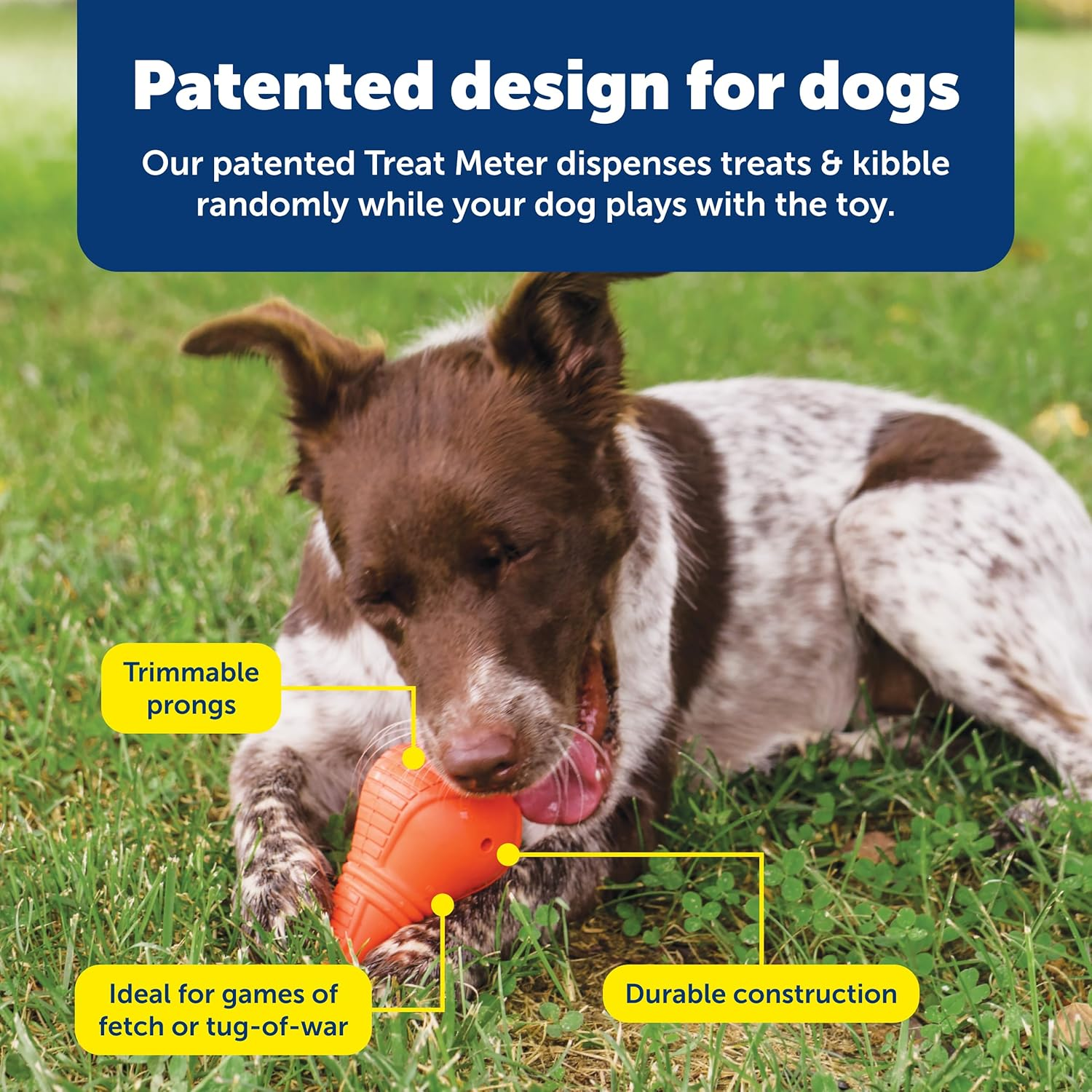 Petsafe Squeak N&rsquo; Treat Booya - Cure Boredom & Reduce Separation Anxiety - Food-Dispensing Dog Toy - Squeaker Encourages Play - Slow down Eating - Helps Clean Teeth - Dishwasher Safe - Medium